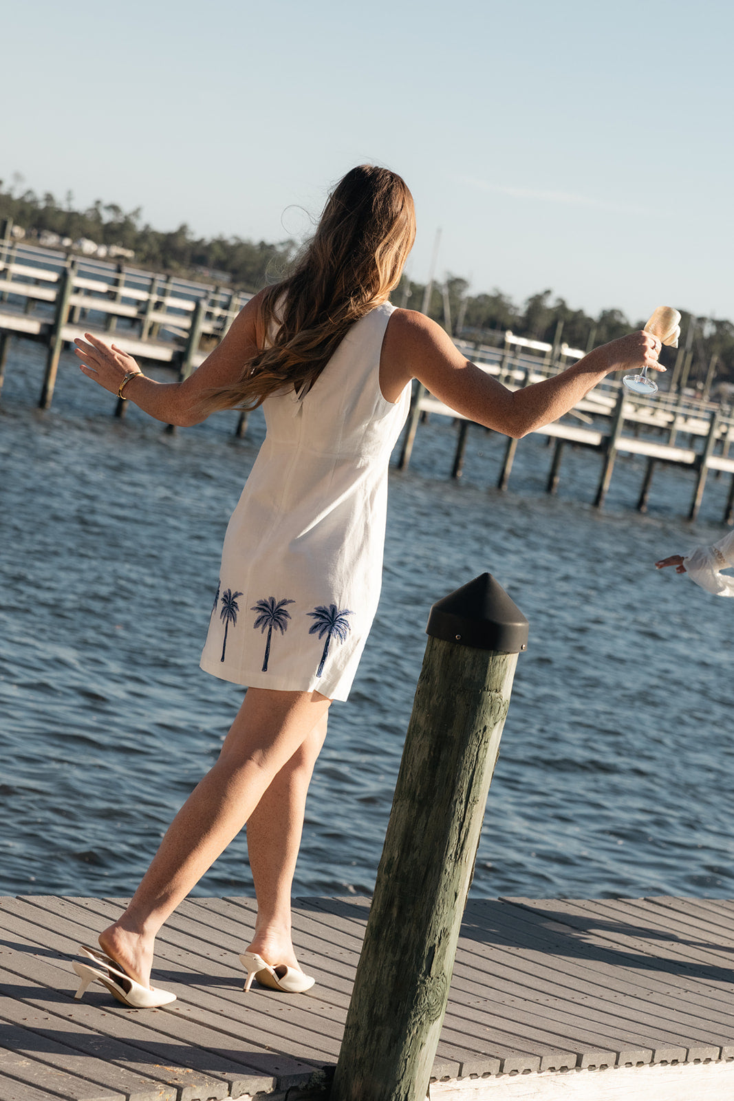 Palm Springs Mini Dress